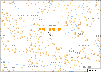 map of Seljublje