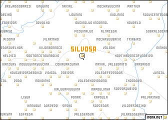 map of Silvosa