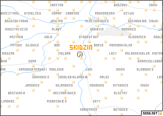 map of Skidzin