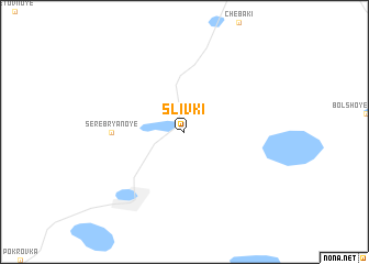 map of Slivki