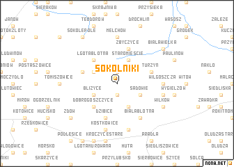 map of Sokolniki