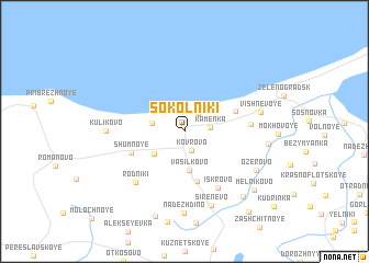 map of Sokolʼniki