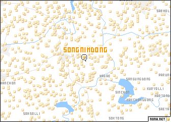 map of Songnim-dong