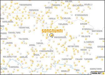 map of Sŏngnŭm-ni