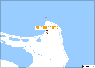 map of Svobodnaya