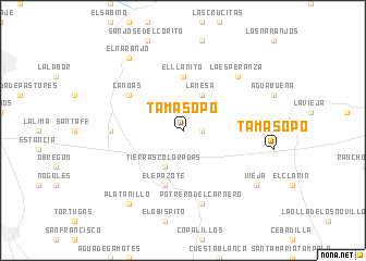 map of Tamasopo