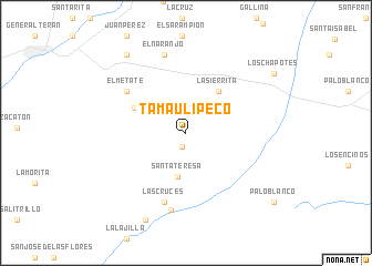 map of Tamaulipeco