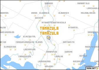 map of Tamazula