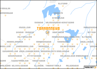 map of Tammannewa