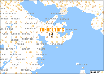 map of Tamwŏl-tong