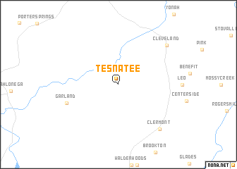 map of Tesnatee