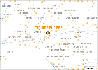 map of Tiquire Flores