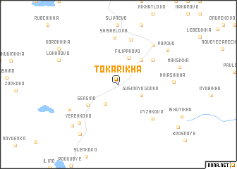 map of Tokarikha