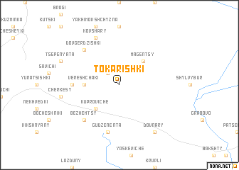map of Tokarishki