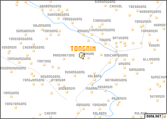 map of Tŏngnim