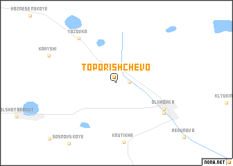 map of Toporishchevo