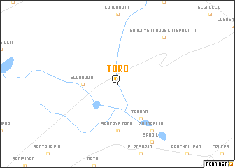 map of Toro