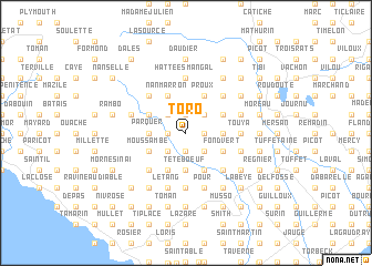 map of Toro