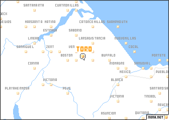 map of Toro