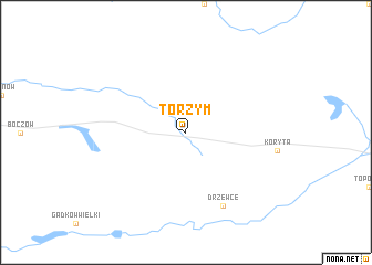 map of Torzym