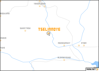 map of Tselinnoye