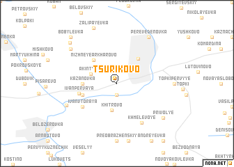 map of Tsurikovo