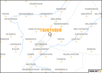 map of Tsvetkovo