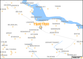 map of Tsvetniki