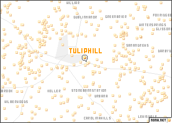 map of Tulip Hill