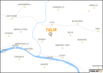 map of Tulip