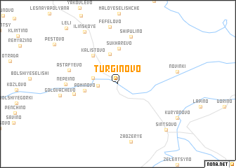 map of Turginovo