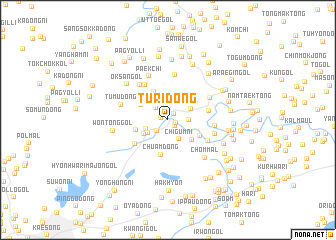 map of Turi-dong