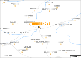 map of Turminskoye