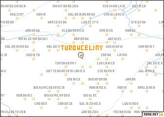 map of Turów Celiny