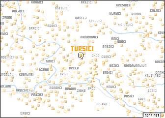 map of Tursići