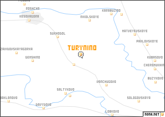 map of Turynino