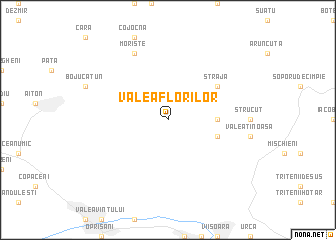 map of Valea Florilor