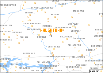 map of Walshtown