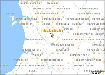 map of Wellesley