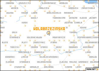 map of Wola Brzezińska