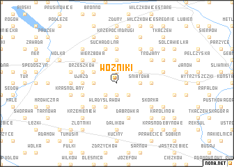 map of Wożniki