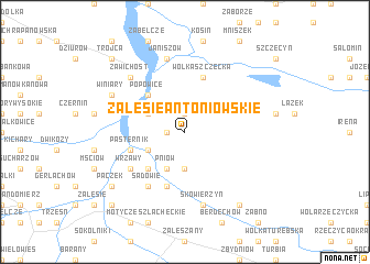 map of Zalesie Antoniowskie