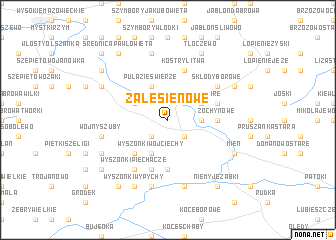 map of Zalesie Nowe