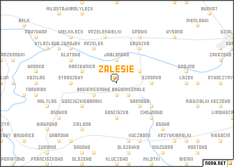 map of Zalesie