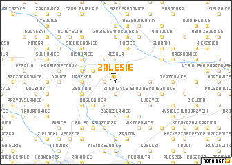 map of Zalesie