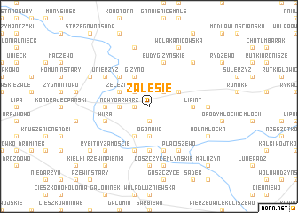 map of Zalesie