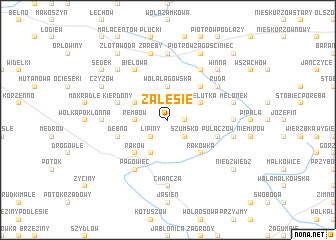 map of Zalesie