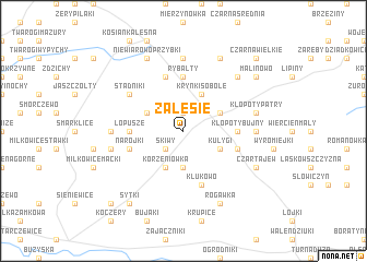 map of Zalesie