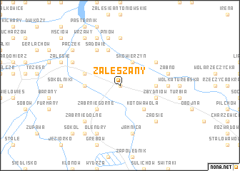 map of Zaleszany