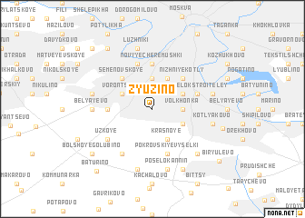 map of Zyuzino